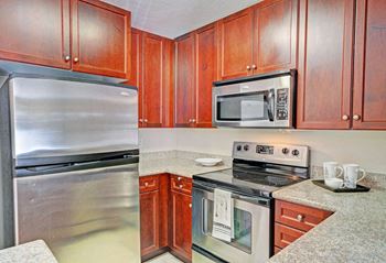 Stainless-steel appliances*